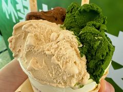 -鹤茶野所(上海首店)