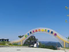 -王莽岭风景区
