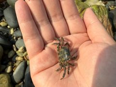 -景祥海鲜美食餐厅