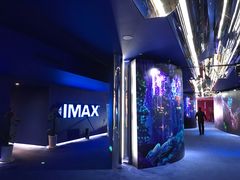 -SFC上影影城(港汇永华IMAX激光店)