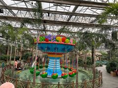 -南宫五洲植物乐园