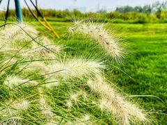 -汉长安城未央宫国家考古遗址公园