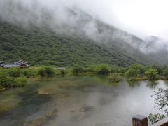 -黄龙山原始森林景区