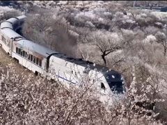 -居庸关长城