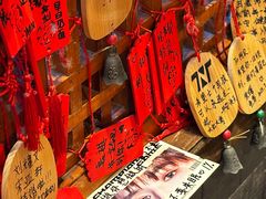 -山城棒棒军手作火锅·天花板手撕水牛鲜毛肚(北京店)