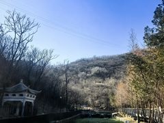 -白水寺森林公园