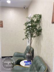 -北京炫美医疗美容