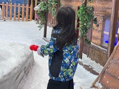 -世界之窗阿尔卑斯冰雪世界