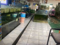 -潘先生平价海鲜城(神州半岛店)