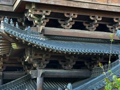 -杭州半山国家森林公园