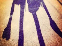 android_upload_pic-北京东方普罗旺斯薰衣草庄园