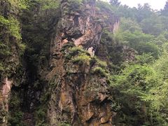 -茅兰沟国家森林公园