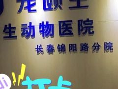 -宠颐生动物医院·心脏科·保险定点(锦阳分院)