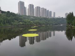 -重庆彩云湖湿地公园