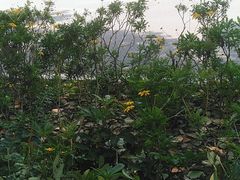 -飞虹鱼馆(春华路店)