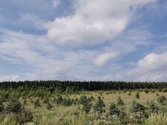 -塞罕坝国家级自然保护区