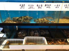 水产区-渔家颂歌渔家味道(青石路店)