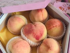 -南汇水蜜桃采摘(大团店)