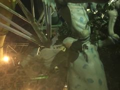 -热带风暴水上乐园(新镇路)