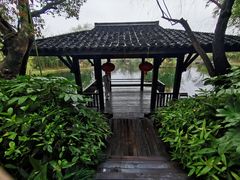 -西溪国家湿地公园