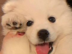 -海马体照相馆|大师(武汉光谷K11店)