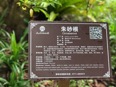 -广西壮族自治区药用植物园