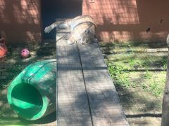 -青藏高原野生动物园