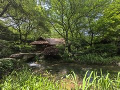 -中国茶叶博物馆(双峰馆区)