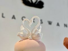 -BLACKSWAN黑天鹅(环球店)