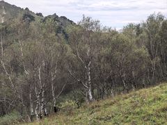 -灵山