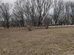 -丁香湖公园