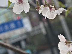 -四川北路(地铁站)