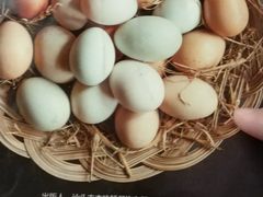 -本味轩精品茶餐厅(黄山路店)