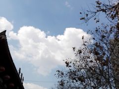 -乡党臊子面(丰庆公园店)