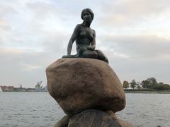 -美人鱼