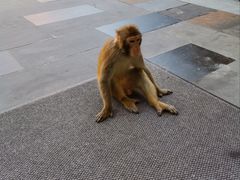 -苏州环秀晓筑养生度假村