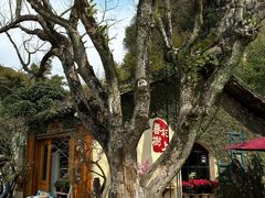 -村上春树