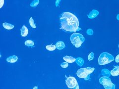 -南京金牛湖风景区