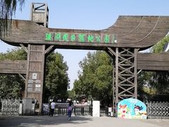 -溱湖国家湿地公园