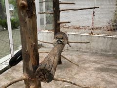 -金庭庄园酒店-停车场