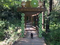 -大岭沟猕猴桃谷风景区