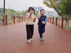 -青枫公园