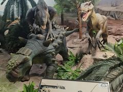 -国家自然博物馆