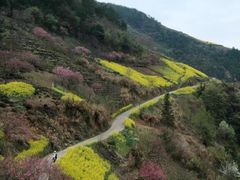 -新安江山水画廊风景区