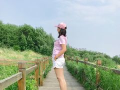 -野三坡百草畔景区
