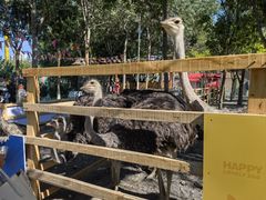 -水上乐园·欢乐世界