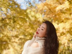 -三里屯东五街银杏大道