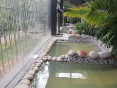 -三江森林温泉度假区