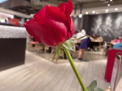 -必胜客(群力王府井店)