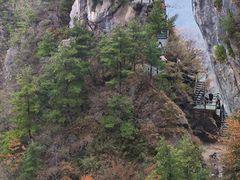 -秦岭天竺山生态文化旅游景区